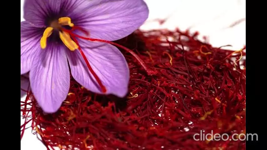 برای زعفران از چه کودی استفاده کنیم؟