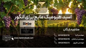 اسید هیومیک مایع برای انگور