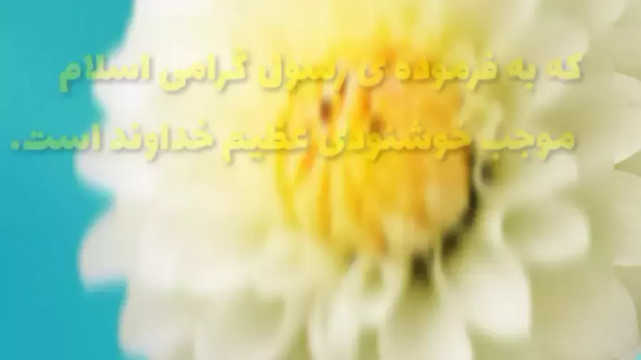 استوری اعمال ماه رجب : چگونه از برکات این ماه بهره‌مند شویم؟