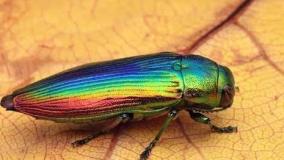 عجایب ودانستنی ۷۴