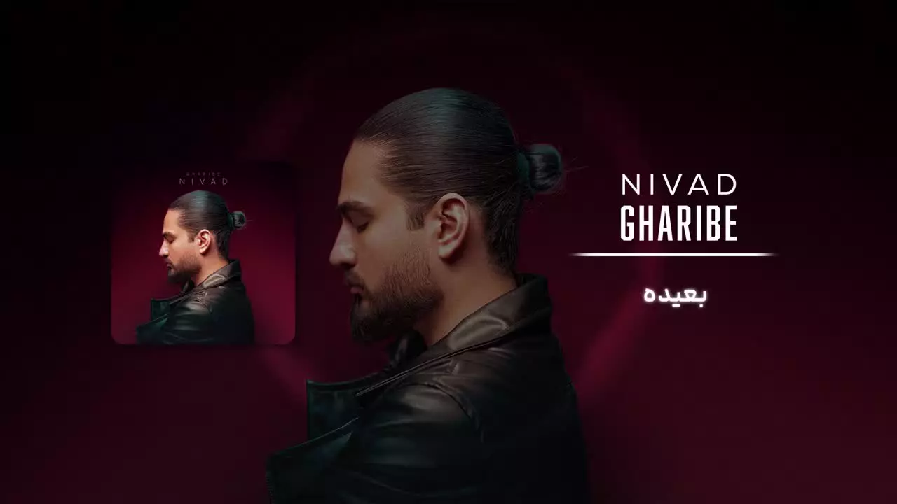 دانلود آهنگ جدید نیواد به نام غریبه