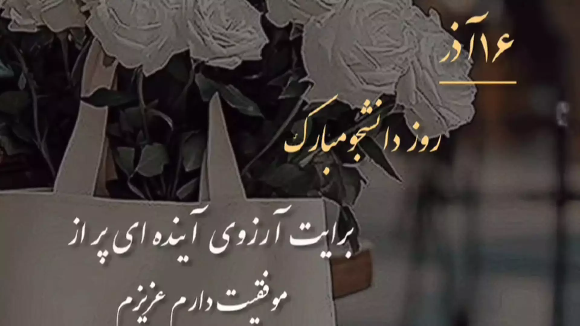 ویدیو برای استوری روز دانشجو | ۱۶ آذر روز دانشجو مبارک جشن روز دانشجو