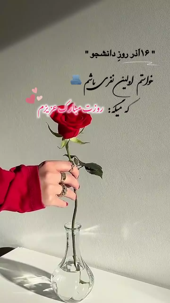 کلیپ تبریک روز دانشجو ۱۶ آذر برای استوری | دانشجوی عزیزم روزت مبارک