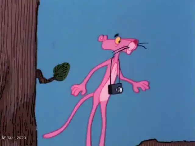 کودک پلنگ صورتی و دوستان ، کارتون پلنگ صورتی حیات وحش ، پلنگ صورتی