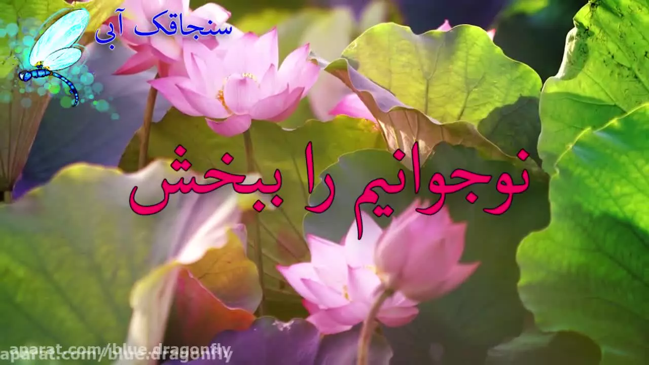 کلیپ برای روز مادر | آهنگ شاد روز مادر | روز زن و روز مادر مبارک