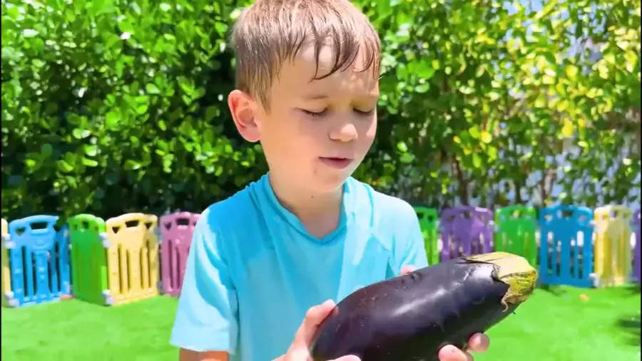 ولاد و نیکیتا, کارتون ولاد و نیکی, برنامه کودک, ولادونیکی, کارتون کودک