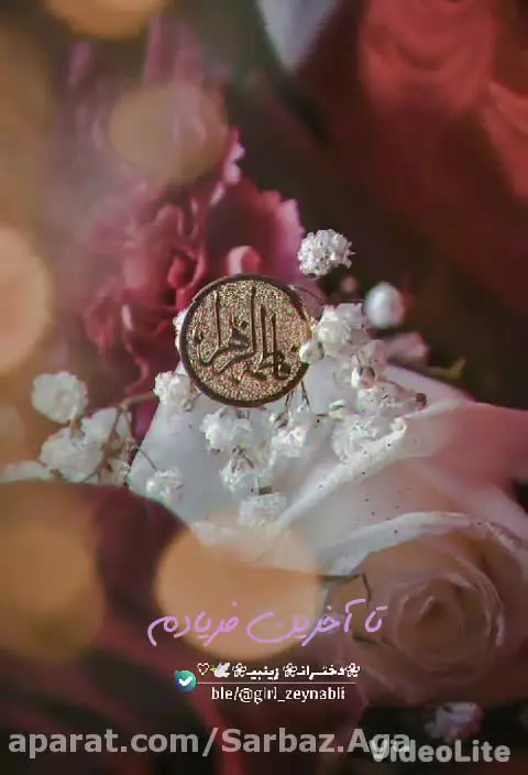 ویدیو استوری تبریک ولادت حضرت زهرا س | استوری جدید تبریک ولادت حضرت فاطمه