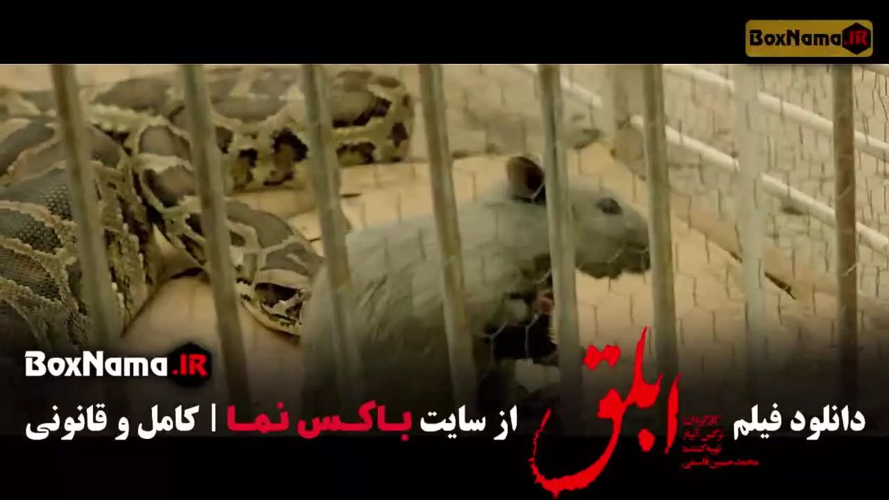 سینمایی فیلم ابلق / الناز شاکردوست و بهرام رادان