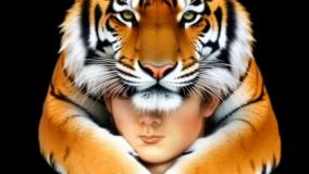 جدال لطفعلی خان زند و آقا محمد خان قاجار