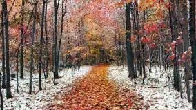 اخبار هواشناسی | برف زیبای پاییزی این محور را سفیدپوش کرد!