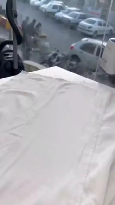 بخارگر دستی ویتور مدل W RON65Q