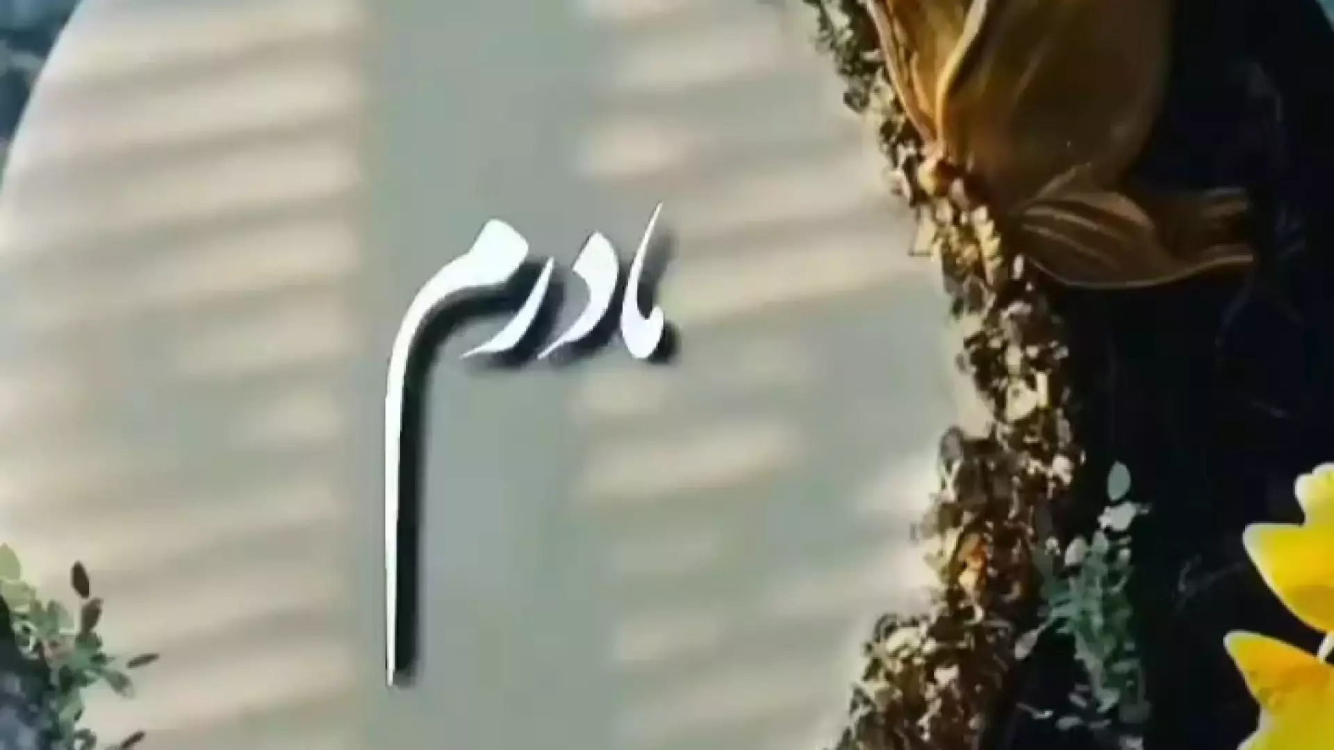 استوری تبریک روز مادر | روزت مبارک مادر عزیزم | زندگی من مادرم