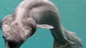 عجایب ودانستنی ۳