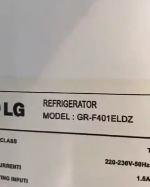 یخچال دوقلو الجی