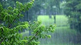 کارشناس هواشناسی: بارش ها ادامه خواهد داشت!