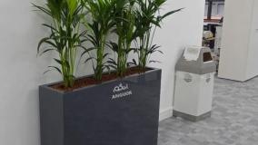 سفارش کنتیا لوکس