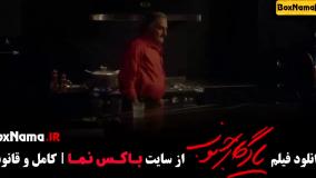 یادگار جنوب فیلم (الناز شاکردوست، پژمان جمشیدی)