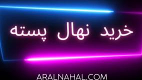 خرید نهال پسته