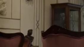 دانلود سریال ابله از سینما فلیکس