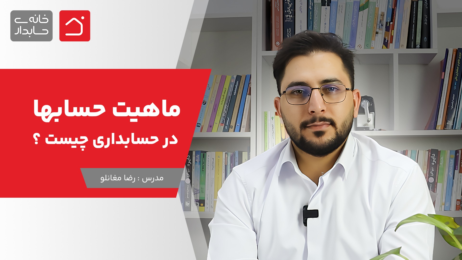 ماهیت حسابها در حسابداری چیست ؟