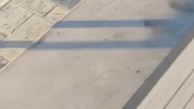 سازنده و نصاب فلاشینگ بام و نما