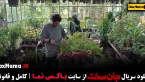 دانلود سریال ایرانی جان سخت ۱ تا ۱۰