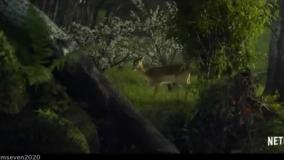 دانلودسریال دندان شیرین ازسینما فلیکس