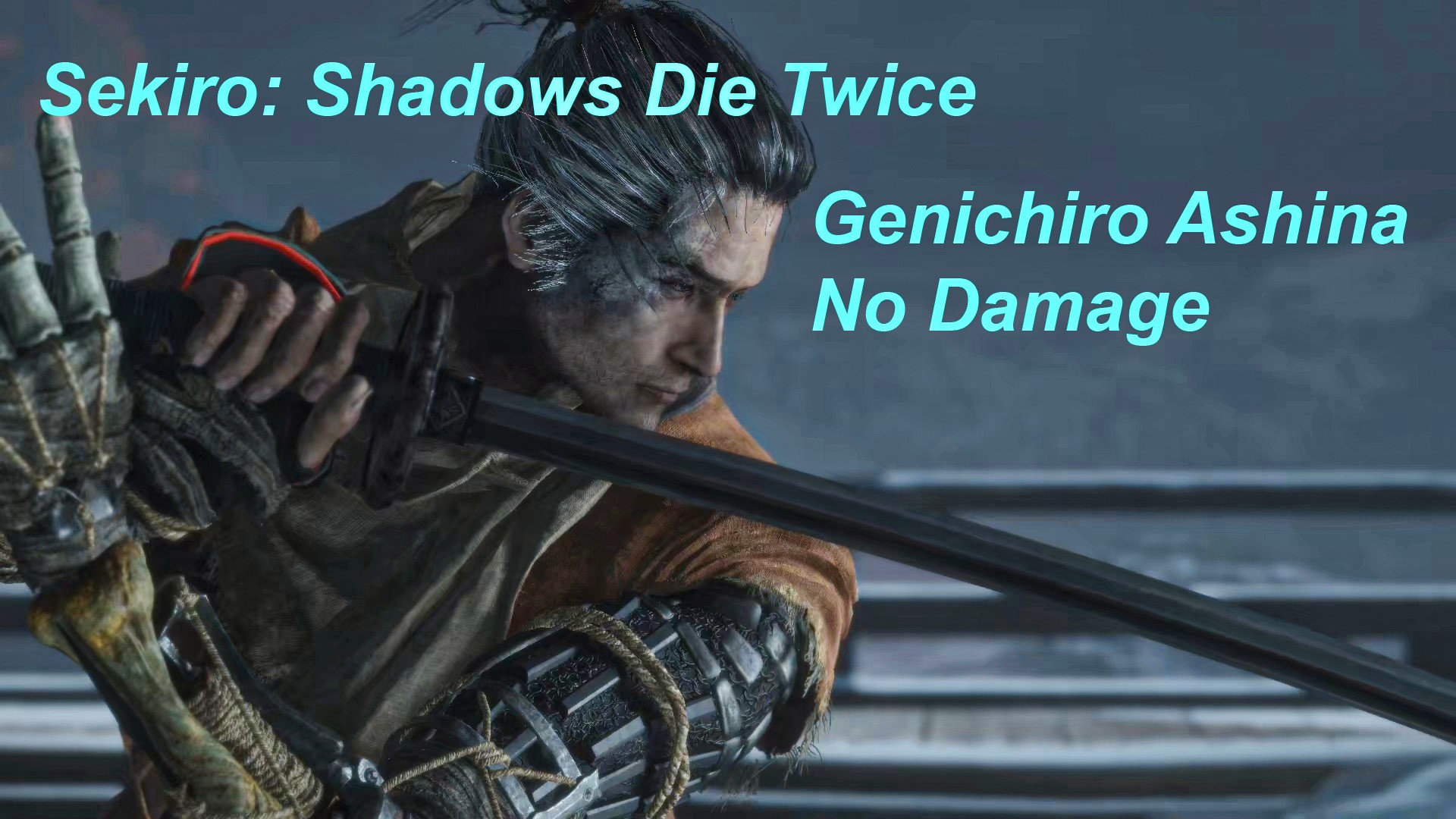 بازی رایانه ای Sekiro - Genichiro Ashina - Hitless
