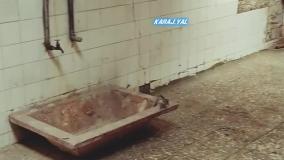 حمام یاقوت