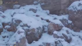 شکوه پلنگ ایرانی در میان برف‌های پارک ملی گلستان