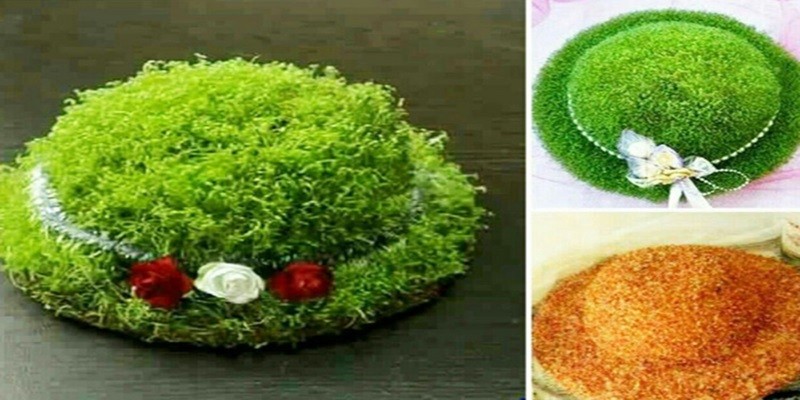 آموزش کاشت سبزه عید بامزه به شکل کلاه با دانه های شاهی!