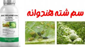 سم مخصوص ریشه کنی شته هندوانه | سفارش سم دکلرووس