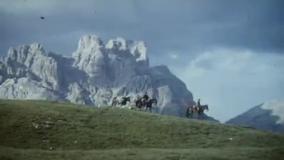 The Bear (خرس) 1988
