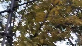 اجرای سقف شیبدار شیروانی گیلان رشت