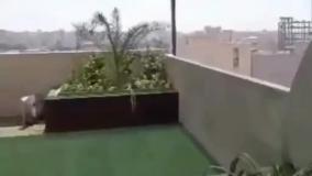 توری سایبان 09119093923 سایبان گلخانه