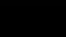 تیم هخامنشیان