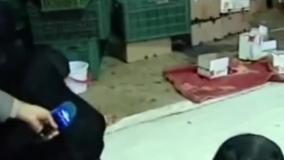 بسته‌بندی چندش‌آور خرما در جنوب تهران