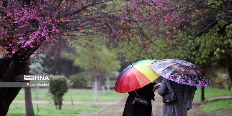 کارشناس هواشناسی: آغاز بارشهای گسترده از چهارشنبه! ۱۰ فروردین ۱۴۰۴