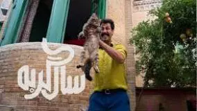 دانلود فیلم سینمایی کمدی سال گربه ❤️