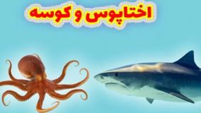 دوستی جالب و شگفت‌انگیز کوسه و اختاپوس! ۱۴ فروردین ۱۴۰۴