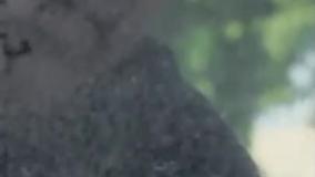 سریال جان سخت قسمت اول (اهنگ رفیق محسن چاوشی)