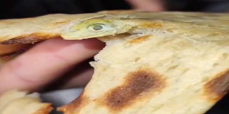 کشف هولناک مارمولک داخل نان سنگک در ایران! ۲۲ فروردین ۱۴۰۴