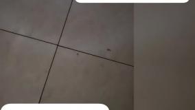 چراغ قوه پر نور ارسال به کل کشور