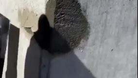 ترمیم بتن