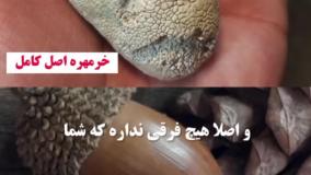 خرمهره اصل ، انرژی خرمهره نگینی ،خواص خرمهره ، سایز خرمهره ، انرژی خرمهره کامل09359109175