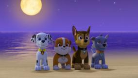 انیمیشن سگهای نگهبان ماجرای هاپوی دریایی دوبله فارسی | کارتون سگهای نگهبان جدید طولانی