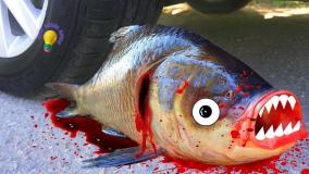 چالش له کردن اجسام نرم و ترد: ماهی بزرگ در مقابل ماشین!