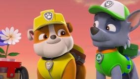 انیمیشن سگهای نگهبان نجات ملکه زنبورها دوبله فارسی | کارتون سگهای نگهبان جدید طولانی