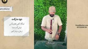 قلیون لوکس دخترونه { معرفی قلیان کلمپی سوپاپ مخفی کارمانیا  } | دود مارکت