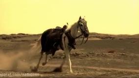 کربلا